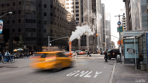 new york city GIF by Adventures Once Had