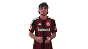 Eintracht Frankfurt Football Sticker by Bundesliga