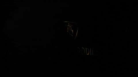 Legendary GIF by tjhoban