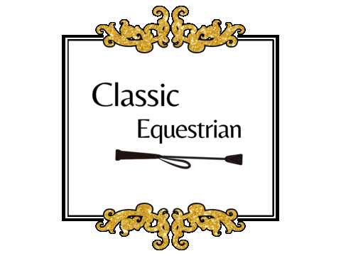 Horses Sticker by equestriess