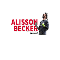 Premier League Champion Sticker by Reusch