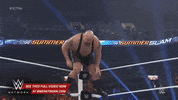 wwe sports wwe wrestling 2015 GIF