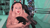 Black Cat Good Luck GIF