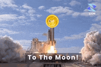 To The Moon Crypto GIF by Zion