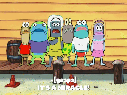 season 8 GIF by SpongeBob SquarePants