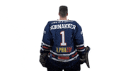 Hockey Hoki GIF by Fehervar AV19