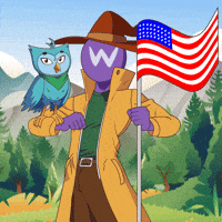 United States America GIF
