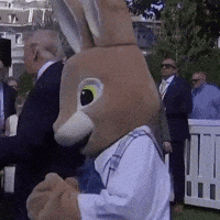 Easter Bunny Wtf GIF