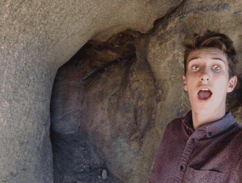 surprised animation GIF by @SummerBreak