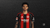 Eintracht Frankfurt GIF by Bundesliga