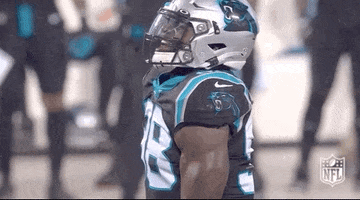 Carolina Panthers Football GIF by NFL