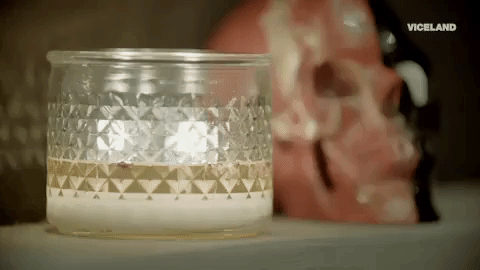 viceland GIF by Kentucky Ayahuasca