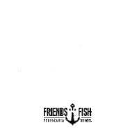 comida goodfood Sticker by Friends & Fish