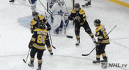 Ice Hockey Sport GIF by NHL