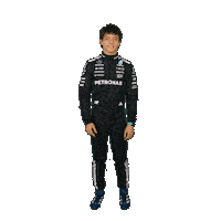 Formula One Sticker Sticker by Mercedes-AMG Petronas Formula One Team