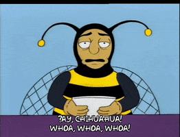 Season 5 GIF by The Simpsons