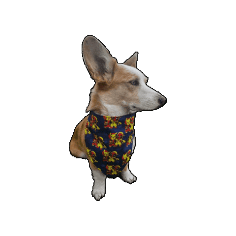 Deadpool Corgi Sticker by Geekster Pets