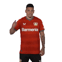 Football Wondering Sticker by Bayer 04 Leverkusen