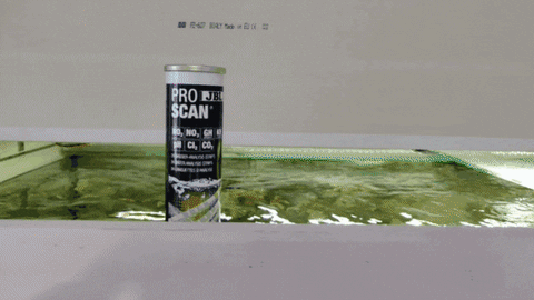 vilcupaul giphyupload aquarium cichlid water test GIF