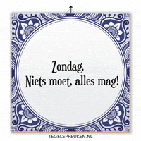 Humor Nl GIF by Tegelspreuken.nl