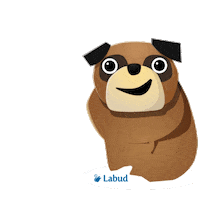 Dog Wink Sticker by Labud_hr