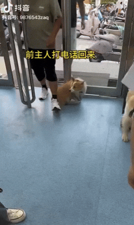 yj_jane giphyupload GIF