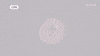 viceland GIF by Motherboard