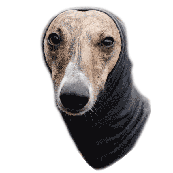 Thug Whippet Sticker