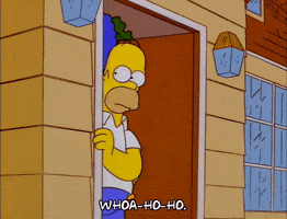 homer simpson wow GIF