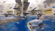 GIF by Michigan Athletics