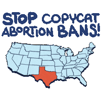 Digital art gif. On an illustrated map of the United States, random states light up in orange, a little mole with a hat popping his head out and being bonked immediately by a mallet. Text, "Stop copycat abortion bans."