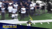 GIF by Michigan Athletics