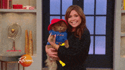 paddington bear pomeranian GIF by Rachael Ray Show