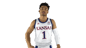 University Of Kansas Jayhawks Sticker by Kansas Athletics
