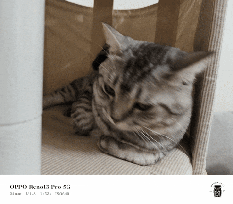 clairechang749b giphyupload GIF