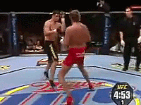 mir GIF