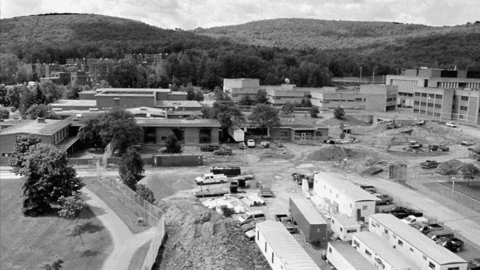 GIF by Binghamton University