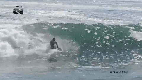 Beach Brand GIF by Bodyboarding Panama