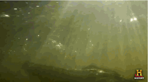 shocked troy landry GIF by Swamp People