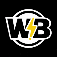wingsandbeerpub wb wingspalmira wingsandbeer GIF