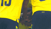 Sport GIF by FOX Sports