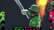 Cricket GIF by The Hundred