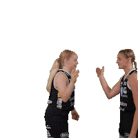 Basketball Sticker by Borås Basket