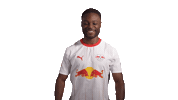 Red Bull Love Sticker by RB Leipzig