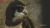 Ft Worth What GIF by Visit Fort Worth