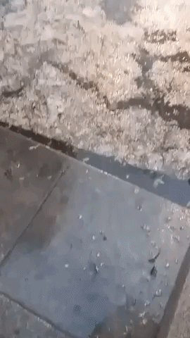 Hail and Water Fill Streets of Mexico City