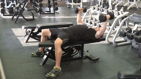 BamBamDoubleBB giphyupload dumbbell fly flat bench GIF