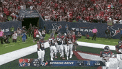 Houston Texans Football GIF by NFL