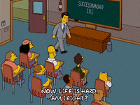 homer simpson episode 10 GIF