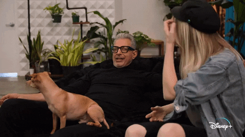 Jeff Goldblum Dogs GIF by National Geographic Channel